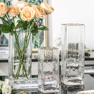 方形大花瓶高级感摆件客厅插花富贵竹轻奢玻璃透明水养水培鲜花