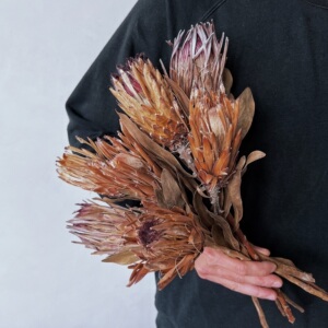 进口公主花干花帝王真花高级感家居插花装饰摆件民宿样板间软装花