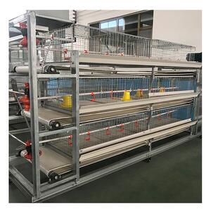 新款 全自动 养鸡 肉鸡用养殖笼子 鸡鸭笼养设备漏粪板