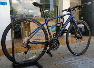 捷安特fastroad sl2全新油碟刹平把公路自行车2021款18速城市通勤