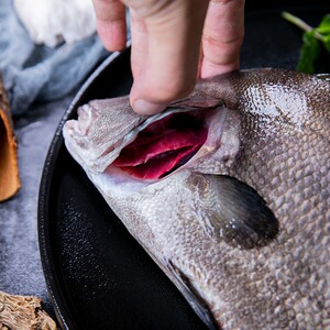 【约2斤】冰鲜包公鱼 海鲜水产新鲜现杀海鱼 黑包公鱼鲷鱼刺身