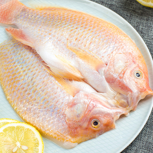 御鲜锋新鲜红星斑海鲜水产新鲜冷冻斑鱼鹰鲜活速冻非石斑鱼3条装