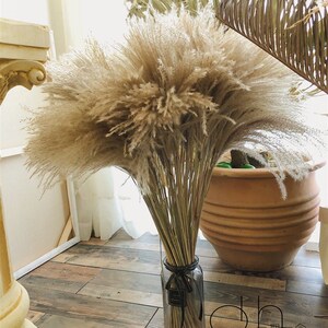 高档大气原色芦苇干花花束带瓶z家居客拍摆厅办公室咖啡件厅照奢