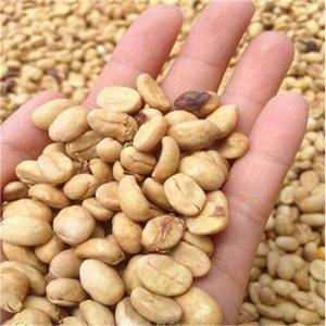 蓝山咖啡豆种子优质咖啡豆果树植物阳台庭院盆栽种植咖啡树种籽