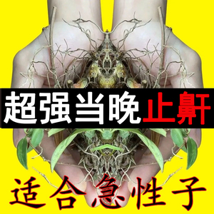 打呼噜中药止鼾茶男士草本女士防治打咕噜神器专用的药老年成人fc