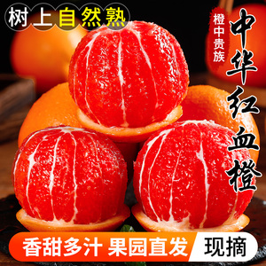 血橙中华红肉橙子当季新鲜水果整箱包邮红心甜橙秭归手剥雪橙10斤