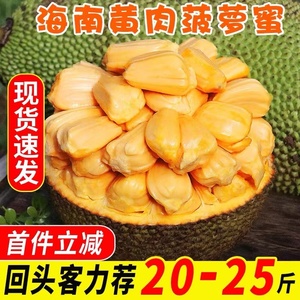 海南黄肉菠萝蜜20-25斤一整个新鲜水果包邮当季热带干苞波罗密