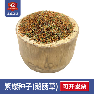 繁缕草籽500粒新鲜种子鹅肠草种籽柑橘果园保水杂草鸡肠草牛繁缕