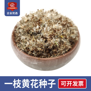 一枝黄花中药本地品种子50g鲜切插花黄莺幸福草植物蜜源幸福草籽
