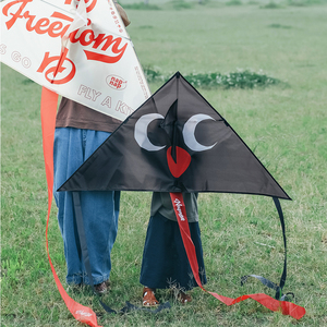 无早|napnap原创户外系列企鹅儿童风筝 露营微风易飞动物风筝