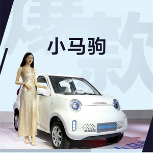 御捷电动四轮车成人汽车代步车小马驹油电两用家用锂电池电瓶车