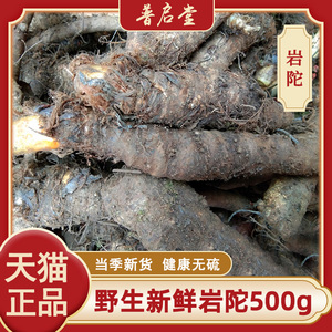 贵州野生新鲜岩陀500g 包邮 中草药材毛青红姜野黄姜蛇疙瘩血三七