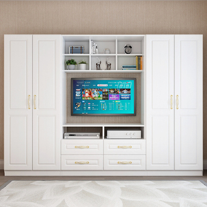 电视柜一体组合背景墙柜现代简约客厅小户型衣柜电视机柜高柜定制