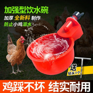养鸡用自动饮水器鸡鸭鹅饮水碗鸽子喝水碗鹌鹑家禽鸟小鸡喂鸡神器