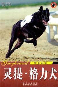 正版 世界名犬-灵提格力犬 9787536946781 陕西科学技术出版社