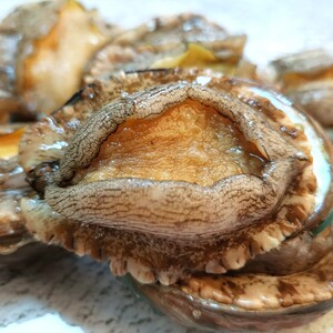 大连大个海鲜