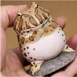 薄荷角蛙活体爬宠两栖宠物蛙绿角蛙黄金活物活体小丑蛙非洲牛蛙