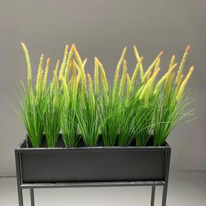 仿真狗尾巴草芦苇草大束网红干花假花隔断装饰绿植盆栽工程造景草