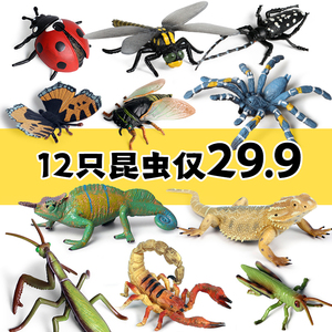 儿童仿真昆虫玩具动物模型蜜蜂蜘蛛蜻蜓蜥蜴蝎子蚱蜢蚂蚁螳螂摆件