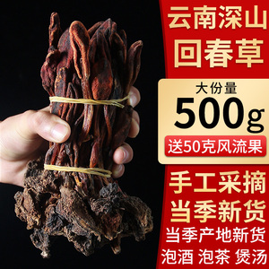 回春草顶天柱