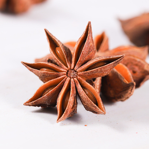 八角 大料 大回香大茴香特级广西香料组合家用调料大全花椒桂皮