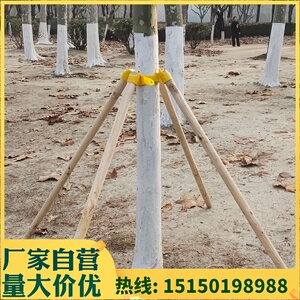 绿化苗木三角支架树木支撑架乔木支撑杆园林木棍防风固定器树苗