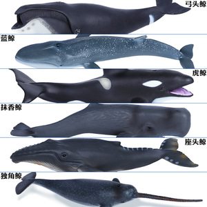 仿真海洋动物玩具生物鲸鱼模型大号弓头鲸虎鲸座头鲸一角鲸男儿童