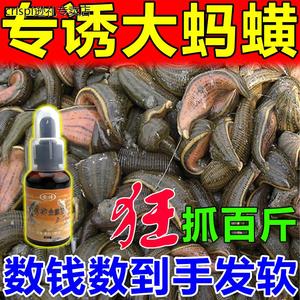 诱捕剂水蛭水蛭蚂蟥专用引食剂抓捕板抓水蛭野蚂蟥水产批发蛭粉药