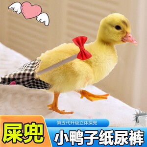 小鸭子屎兜纸尿裤衣服柯尔鸭穿的尿不湿接防止乱拉屎粪便包屁股兜