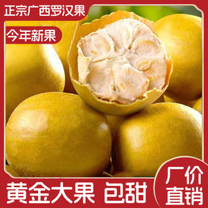 黄金罗汉果低温脱水干果独立包装精选大果广西桂林永福特产花果茶