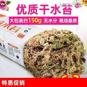 水苔包邮无菌智利进口干水苔蝴蝶兰花专用营养土苔藓石斛食虫植物