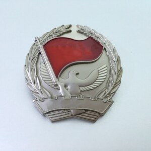 前苏联公发版军迷退伍纪念国防服役章饰品 收藏送人