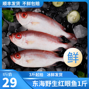 【深海野生红眼鱼】深海野生红眼鱼品牌,价格 - 阿里巴巴