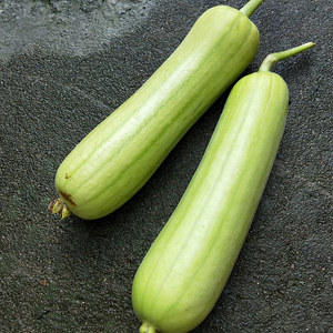 新鲜丝瓜3斤湖南株洲白关丝瓜新鲜蔬菜白皮丝瓜农家自种顺丰包邮