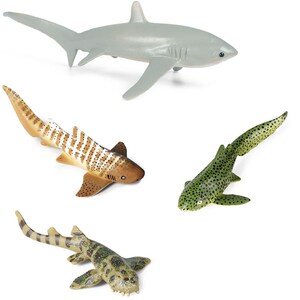 【纹斑竹鲨】纹斑竹鲨品牌,价格 - 阿里巴巴