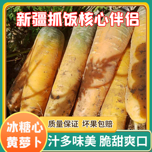 新疆特产冰糖心黄萝卜黄色水果胡萝卜农家自种新鲜蔬菜生吃黄萝卜