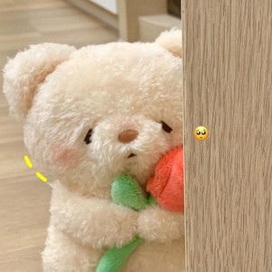 sunlemon可爱小熊日本ins系小动物少女心毛绒公仔娃娃送礼物