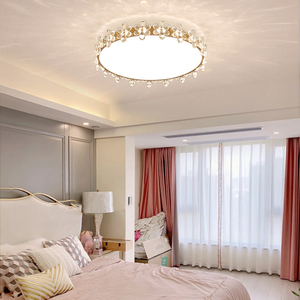 卧室吸顶灯现代简轻奢房间灯女孩女生网红花朵水晶灯创意灯饰