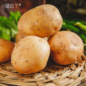 000人付款淘宝樟树港本地三月黄新鲜小土豆土洋芋1斤 农家菜 不包邮