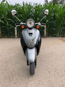 本田50纯进口摩托车图片