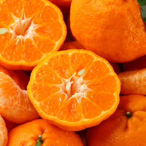 云南大理晚芦柑新鲜现摘橘子应季桔孕妇水果丑橘蜜橘鲜果5斤包邮