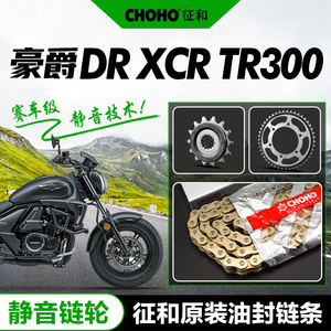 豪爵摩托车DR300 XCR TR300大小牙盘静音链轮链盘链条油封链套链