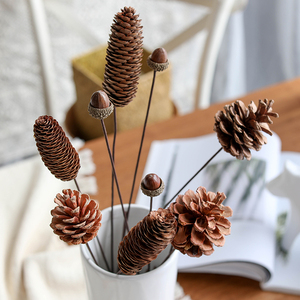 松塔松果干花干果真花果实天然野生植物民宿装饰桌面摆件橡果饰品