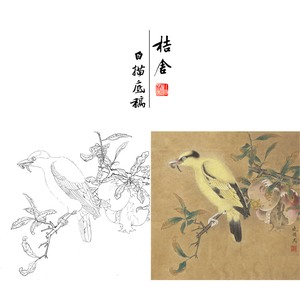 【有步骤】李晓明工笔画白描底稿榴枝黄鸟图宋画小品原大35×35厘米宋
