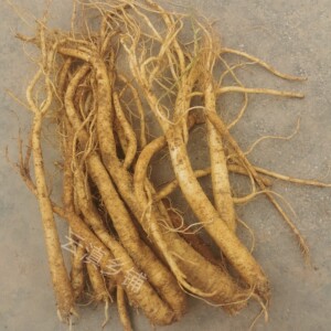 【云南臭参】云南臭参品牌,价格 - 阿里巴巴