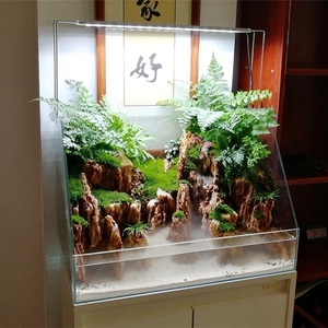 超白水陆鱼缸植物造景缸微景观斜口造景缸金晶玻璃两栖生态缸雨林