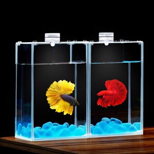 泰国斗鱼专用缸  超白玻璃小型方形双格生态养鱼桌面造景斗鱼缸