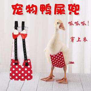 鸭屎兜神器宠物鸭子小鸡鹅专用防乱拉接屎尿柯尔鸭鸭屁股尿不湿包