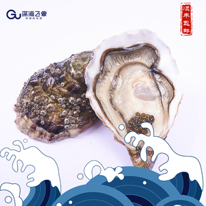 法国皇御生蚝刺身|鲜活|n1:130-160g/粒*6粒/盒|进口