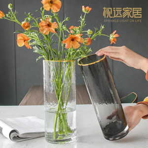 腊梅玻璃花瓶摆件客厅插花北欧创意简约透明网红轻奢ins水养鲜花